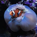 Andy Bushong - @bushong822 - Instagram
