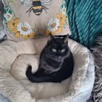 Andy Buster Gonad Briggs - @briggs8654 - Instagram