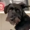 andybuster6 - @andybuster6 - TikTok