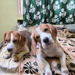 AndySamuel - @busterandy93 - Instagram