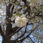 Andy Butterworth - @andy.butterworth.543 - Instagram