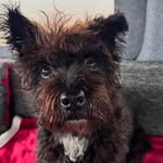 Andy Butterworth - @andy.butterworth.7 - Instagram