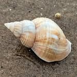 Andy Butterworth - @andybutterworth69 - Instagram