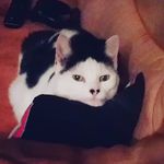 Andy Butterworth - @andybutty75 - Instagram
