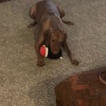 Andy Butts - @butts848 - Instagram
