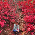 Andrew Bybee - @andrew_bybee - Instagram