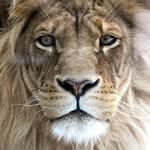 @andy_byles1 - Instagram