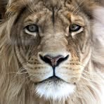 Andy Byles - Facebook