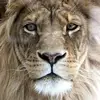 Andy Byles - @andy.byles - TikTok