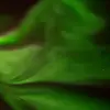 Andy Byrd - @andy.byrd - TikTok