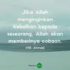 Andy Cadafie Bayhaq - @andycadafiebayhaq - TikTok