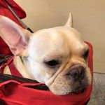 @andy_caffrey - Instagram