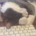 Andy Caffrey - Facebook