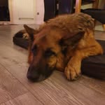 Andy_cahill - @andy_cahill74 - Instagram