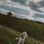 Andy - @andy.cairns_ay3 - Instagram