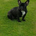 Andy Cairns - @andyc_69 - Instagram