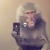 Andy ♥メ - @andycalero2811 - TikTok