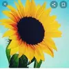 Andy calero - @andrea...684 - TikTok