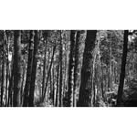 Andrew Callender - @photo.callender - Instagram