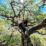 Andy Camarillo - @andy_camarillo03 - Instagram