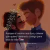 Andy alfred Camejo ocaña - @andyalfredcamejoo1 - TikTok