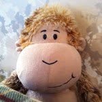 Andy Cannon - @andycannon - Instagram