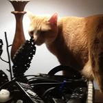 106 283 - @andycantrell268 - Instagram
