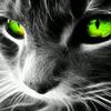 andycantrell - @andycantrell - TikTok