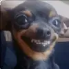 andycapped - @.andycapped - TikTok