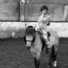 andi.carlisle - @andi.carlisle - TikTok
