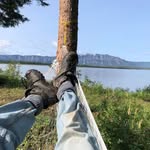 Andy Carpenter - @andrew.carpenter.121 - Instagram