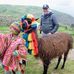 Andy Çarter - Facebook