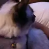 Andy Flores Casanova - @andy.casanova27 - TikTok
