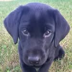 Andy Casey - @imtherealwookie_ - Instagram