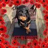 Andy Chambers - @andy.chambers7 - TikTok
