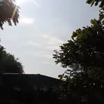 Andy Champo - @andy.champo - Instagram