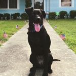 Andy Champion Hoover - @andyhoov - Instagram