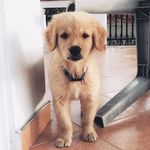 Andy Christopher - @andyboy_ - Instagram