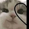 Andy_Clark - @_andreagallagher_ - TikTok