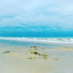 Andy Coe - @nature.for.ever - Instagram