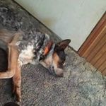 Andy Coe - @coe.andy - Instagram