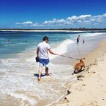 Andy Collins - @andycollins__ - Instagram