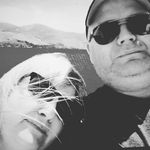Andy Collins - @andycollins111 - Instagram