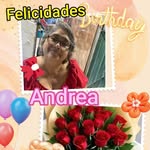 Andy Constantino - @andyconstantino3 - Instagram