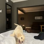 Andrew Cornett - @andrew_cornett - Instagram