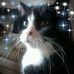 Andy Corr - Facebook