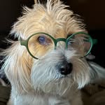 Andy Corren - @misterandycorren - Instagram