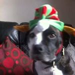 Andy Cousins - @andycuz70 - Instagram