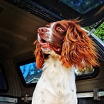 Andy Cowell - @cowell_andy - Instagram
