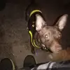 Andy Crockett - @andy.crockett3 - TikTok